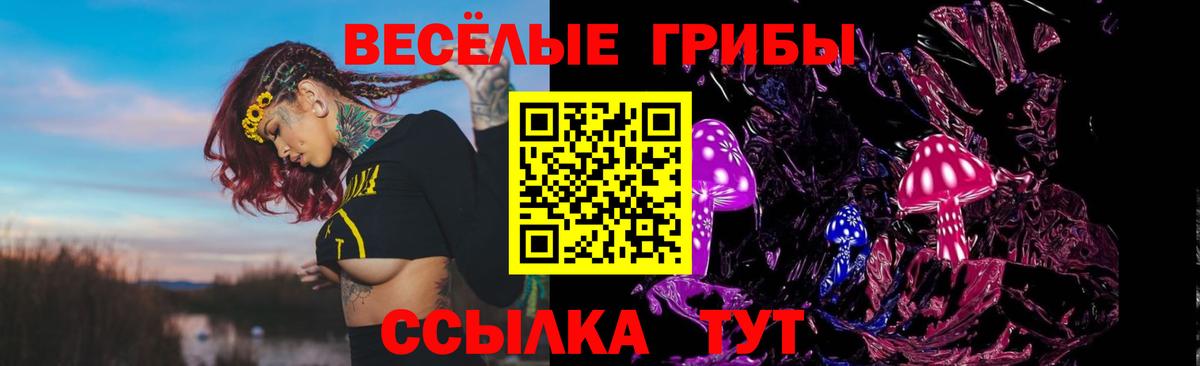 Псилоцибиновые грибы ЛСД Нижний Новгород